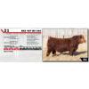 Image 1 : RED TOP MR 64N 