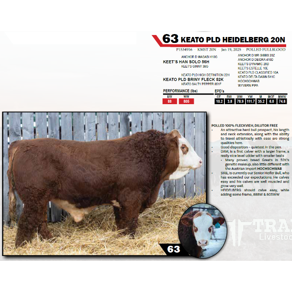 KEATO PLD HEIDELBERG 20N