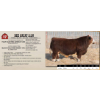 Image 1 : BEE ARIAT 111N