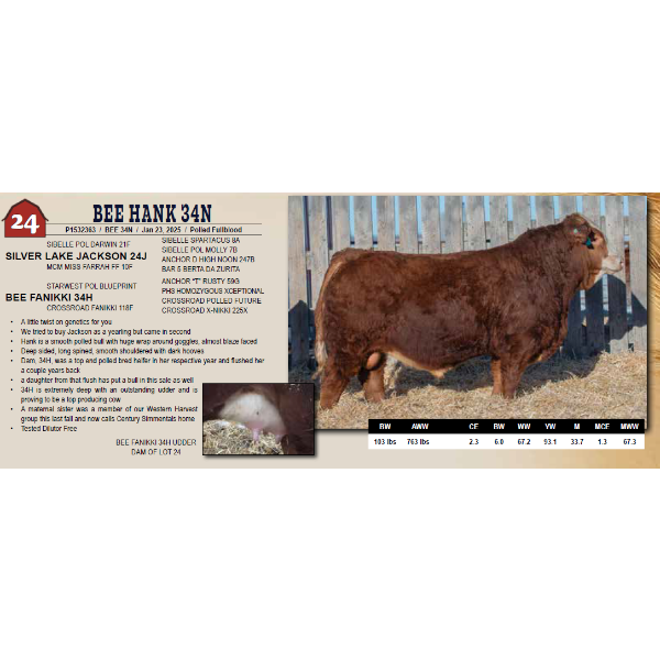 BEE HANK 34N