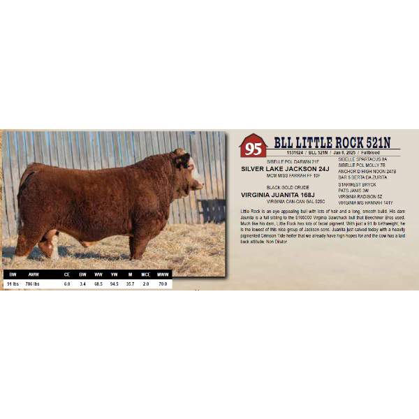 BLL LITTLE ROCK 521N