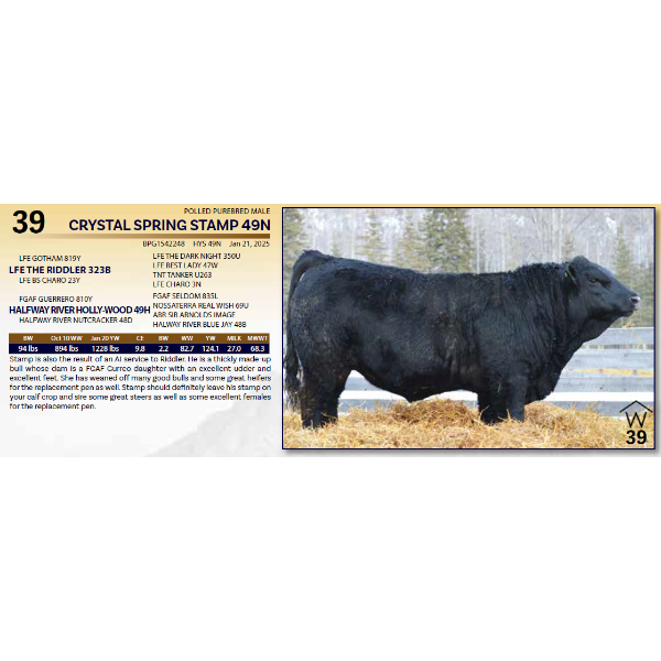 CRYSTAL SPRING STAMP 49N