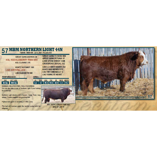 MBM NORTHERN LIGHT 44N