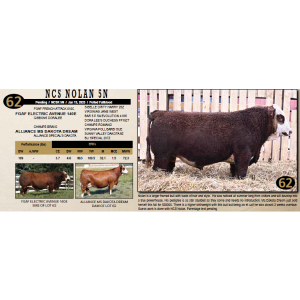 NEWTON CREEK SIMMENTALS