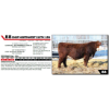 Image 1 : CHSF NORTHWEST 2157K 15N