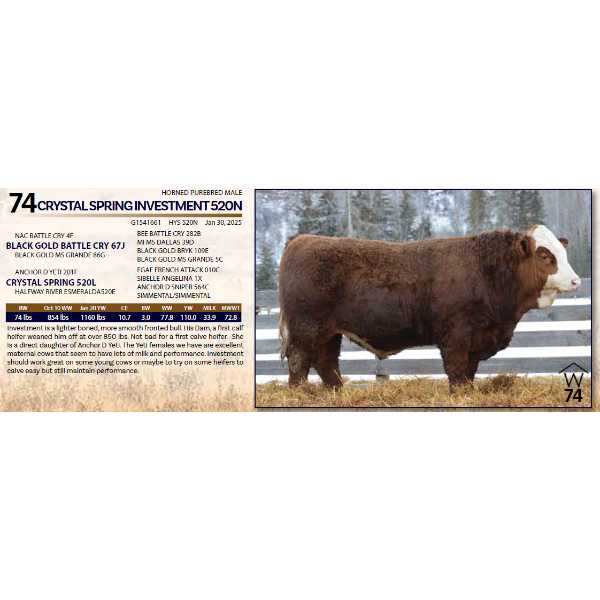 CRYSTAL SPRING INVESTMENT 520N