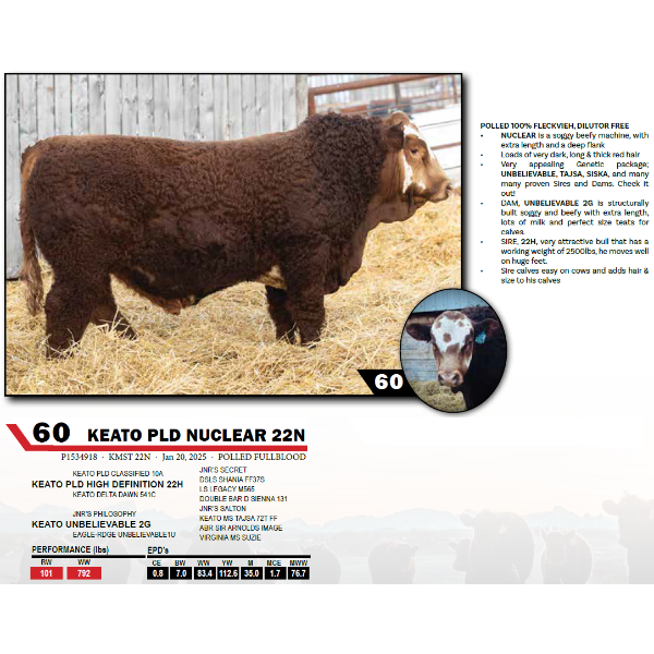 KEATO PLD NUCLEAR 22N