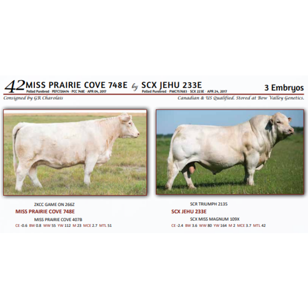 MISS PRAIRIE COVE 748E by SCX JEHU 233E  - 3 Embryos 
