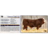 Image 1 : ROSEFIELD NIBBS 214N