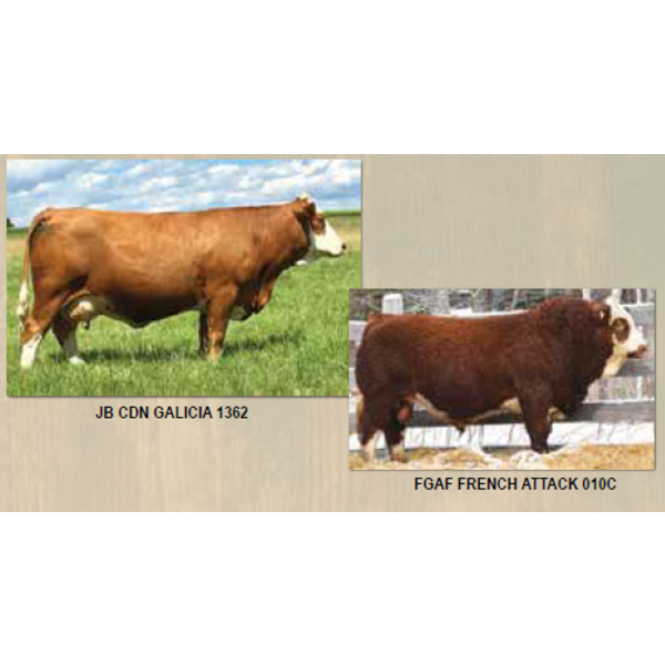 Madge Simmentals