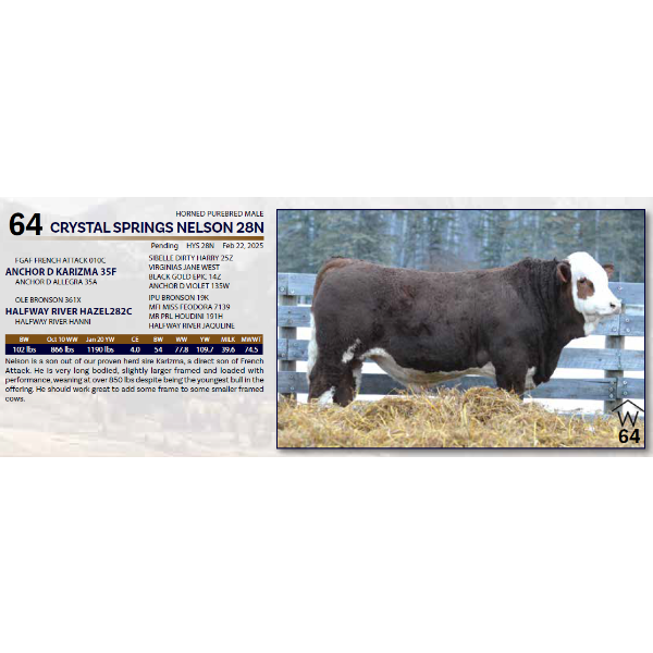 CRYSTAL SPRINGS NELSON 28N