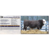 Image 1 : CRYSTAL SPRINGS NELSON 28N