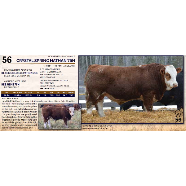 CRYSTAL SPRING NATHAN 75N 