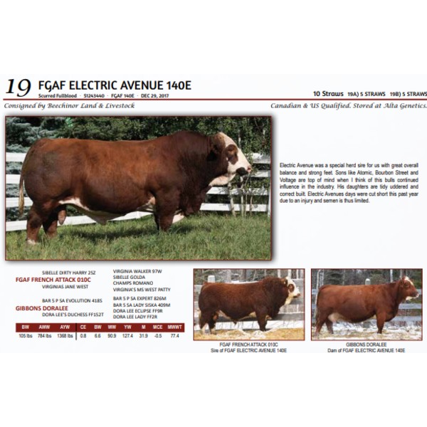 FGAF ELECTRIC AVENUE 140E -  5 STRAWS 