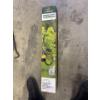Image 1 : Brand new in box Greenwood propane torch with trigger start