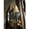 Image 2 : This is a "Guardians of the Canyon" eagle collector plate display from The Bradford Exchange, featur