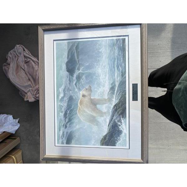 Framed salmon spirit bear salmon watch number two six six five of 5,000 exclusive to the Robert Bate