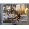 Image 2 :  framed limited edition wildlife print titled "Winter Wolves". 
