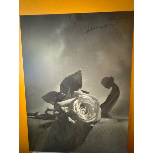 The image displays the artwork "Eva with Rose" (1988) by renowned photographer Horst P. Horst. This 