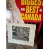 Image 5 : Book collection with bookcase, National Geographic set, Canadian geographic Tesla book and box full 