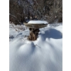 Image 1 : bird bath