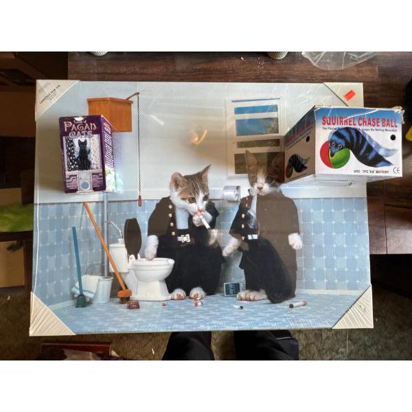 Cat painting with squirrel chaser ball toy for cats, and tarot, peg, and cat reading cards. Tarot ca