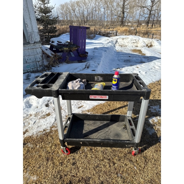  MotoMaster 500-lb Tool Cart, featuring a durable, lightweight structural foam design with two-tier 