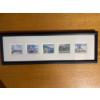 Image 5 : framed collection of four signed watercolor prints by Canadian artist Jin Rong Chen, featuring Nova 