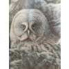Image 2 : The item is a framed art print titled "Great Gray Owl" by artist Robert M. Fisher, completed in 1983