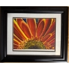 Image 1 :  framed canvas print titled "Color Bursts II" by artist Carolee Vitaletti. 
It features a vibrant, c