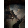 Image 3 : This is a "Guardians of the Canyon" eagle collector plate display from The Bradford Exchange, featur