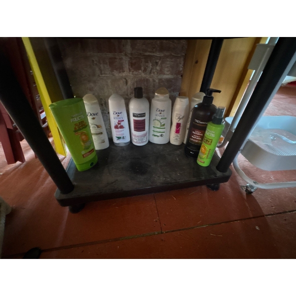 Fourth shelf, all contents included, Garnier Fructis Sleek and Shine conditioner, Dove Shampoo, Dove