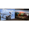 Image 1 : Amateur Artist Paints Birds & Rooster by Barn  Not Framed Detail Orientated Art