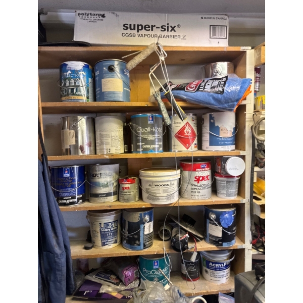 Everything on this shelf included. This shelf and the shelf right next to it on the right.