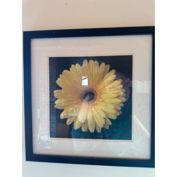  framed wall art print featuring a yellow Gerbera daisy. 