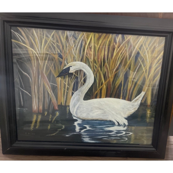 Wildlife Landscape Oil On Canvas of a Swan in Water with Tall Grasses 19"x17"tall