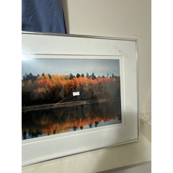  framed photograph of an autumn landscape.
