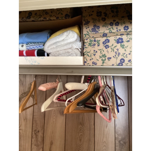 All boxes on top shelf and leather bags, . And all items in bottom of closet, 