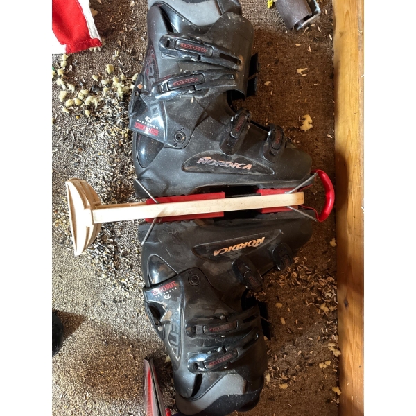  Nordica Trend T 3.1 ski boots. 
Type: Rear-entry recreational ski boots designed for ease of use. 
