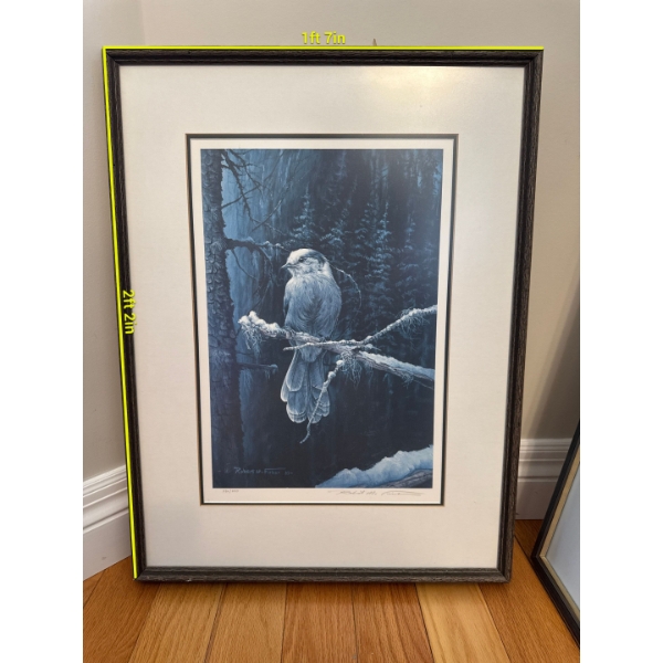  framed limited edition print titled "Gray Jay" by Canadian wildlife artist Robert M. Fisher.