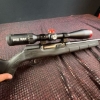 Image 8 : Savage A17 semi-automatic rifle chambered in .17 HMR, serial P742684. Features a black synthetic sto