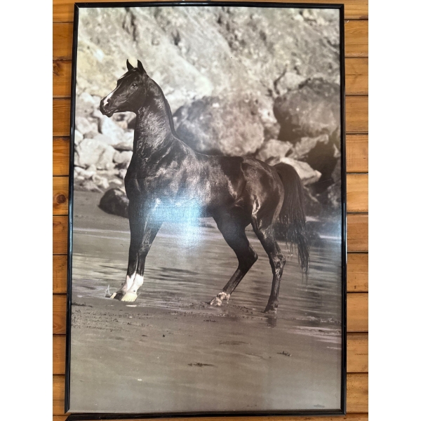  artwork of a black stallion standing on a beach with rocky cliffs in the background.