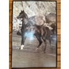 Image 1 :  artwork of a black stallion standing on a beach with rocky cliffs in the background.