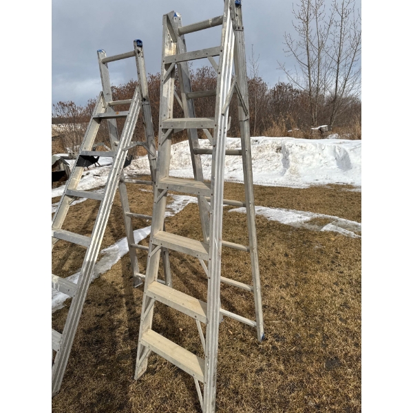 12 foot adjustable ladder.