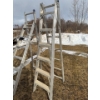 Image 1 : 12 foot adjustable ladder.