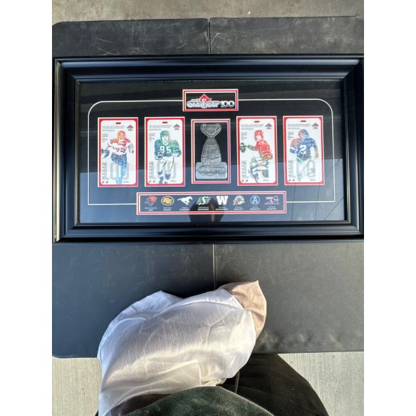 Great cup 100 painting in frame. 29 and a half long by eighteen and three quarters wide.