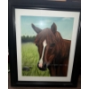 Image 1 : Painting Of A Horse In A Field Looking Over Barb Wire Fence  Artist Unknown