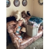 Image 1 : Vintage sofa, dolls, teddy bears. Bin full of yarn and sewing supplies. Three plates on the wall and