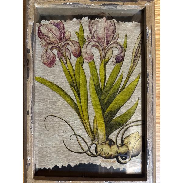  Creativeco-op Iris Painting Antique Textured Box Wall Hanging featuring a glass front and a distres