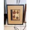 Image 2 :  framed wall art piece is titled "Maple Leaves 3" and is a print by Kimberly Poloson. 